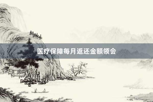 医疗保障每月返还金额领会